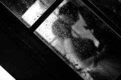 _DSC0720